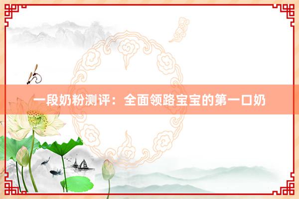 一段奶粉测评：全面领路宝宝的第一口奶
