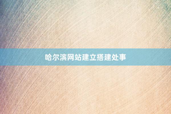 哈尔滨网站建立搭建处事
