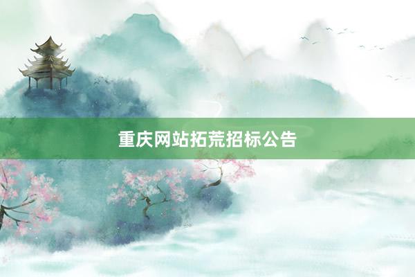 重庆网站拓荒招标公告