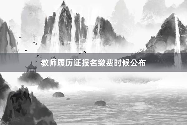 教师履历证报名缴费时候公布