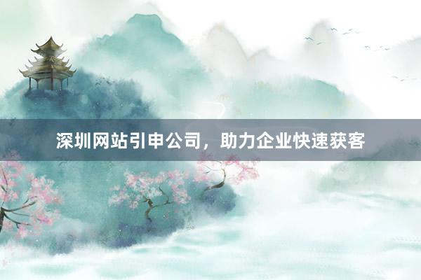 深圳网站引申公司，助力企业快速获客