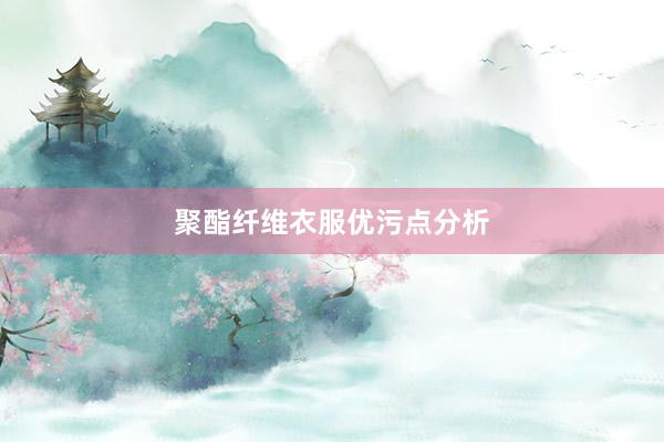 聚酯纤维衣服优污点分析