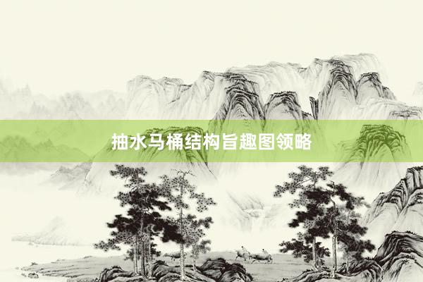 抽水马桶结构旨趣图领略