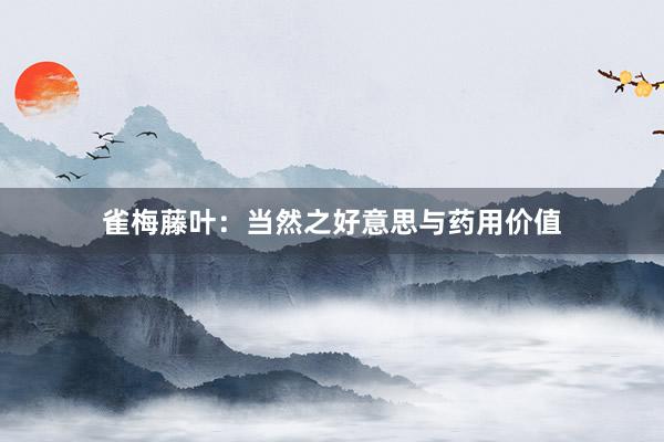 雀梅藤叶：当然之好意思与药用价值